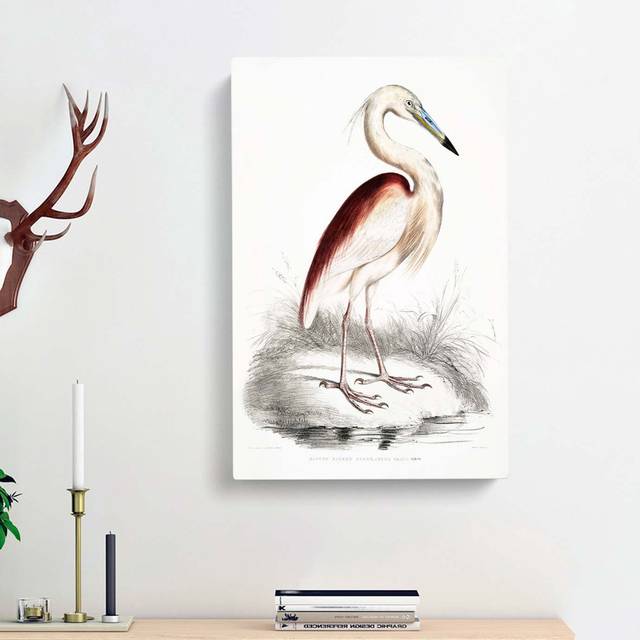Maroon-Backed Heron by John Edward Gray - Wrapped Canvas Painting Print (60cm H x 40cm W x 3cm D)