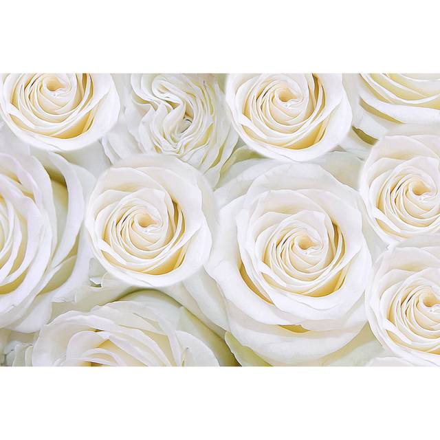 Background of Gentle White Flowers Roses by Maestrovideo - Wrapped Canvas Photograph (50.8cm H x 76.2cm W)
