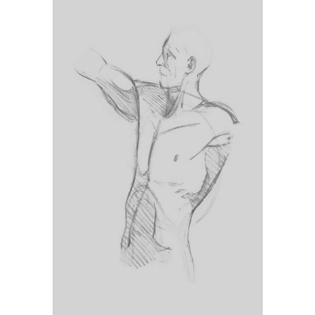 Male Torso Sketch IV by Jacob Green - Wrapped Canvas Drawing Print (76cm H x 51cm W)