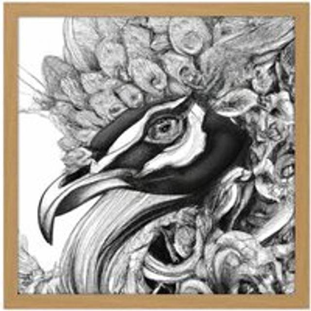 Wall Art Print Pencil Drawing Peacock Portrait Study Black White Square Framed Picture 16X16 Inch - Tan - W16 inch x H16 inch