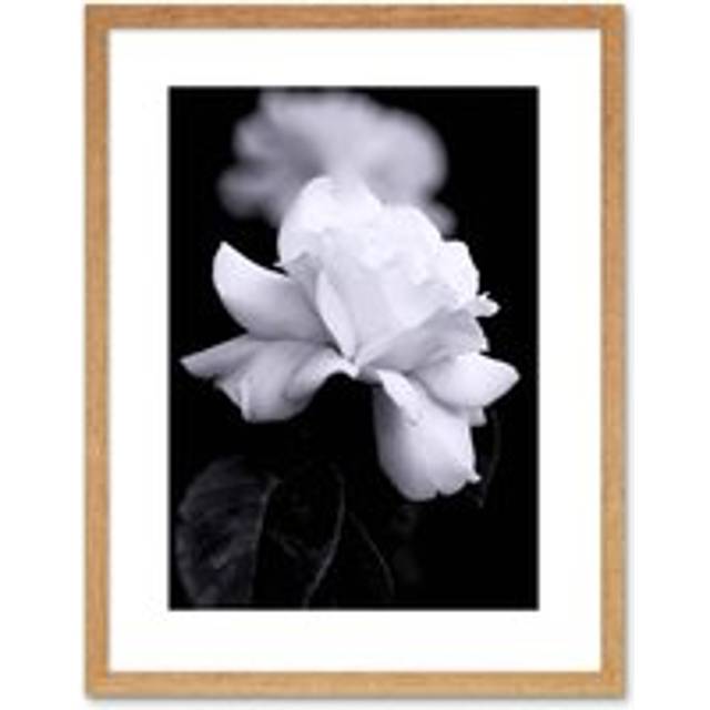 Wall Art Print Photo Nature Black White Rose Petal Flower Artwork Framed 9X7 Inch - Tan - W7 inch x H9 inch