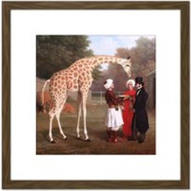 Jacques Laurent Agasse Nubian Giraffe 8X8 Inch Square Wooden Framed Wall Art Print Picture with Mount - Brown - One Size