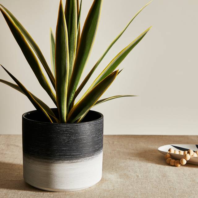 Textured Ceramic Plant Pot - Black
