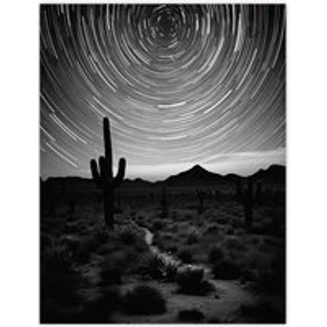 Time Lapse Night Sky Star Trails Across The Night Sky Black White Desert Cactus Extra Large XL Unframed Wall Art Poster Print - Multi - W24 inch x H32 - W24 inch x H32 inch