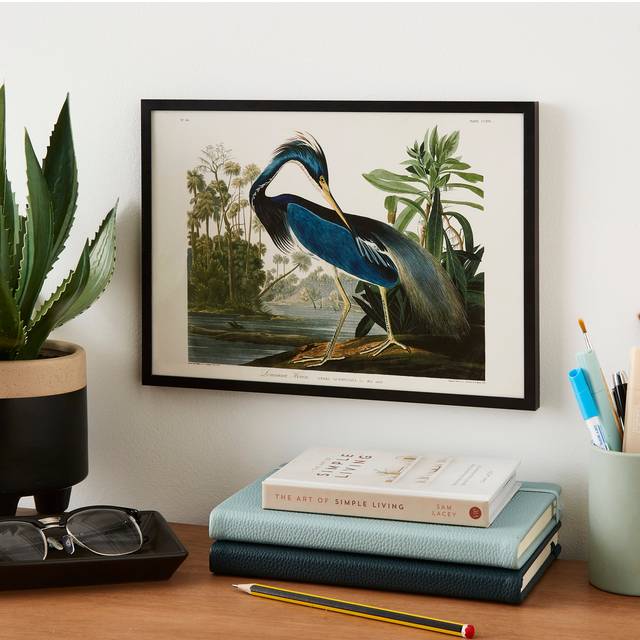 JJ Audubon Louisiana Heron Poster - Multicolor