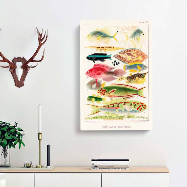 Great Barrier Reef Fishes XVI by W. Saville-Kent - Wrapped Canvas PaintingPrint (50cm H x 35cm W x 3cm D)