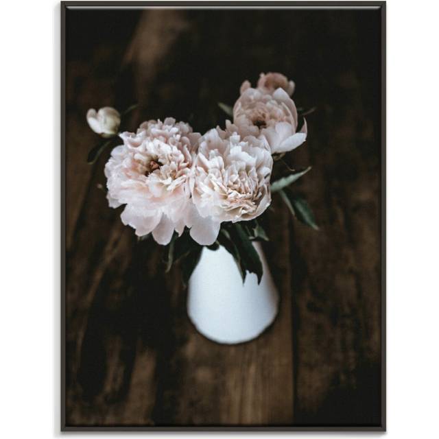 'Fine Finesse' Framed Photograph on Canvas - Black Floater Frame (51cm H x 41cm W)