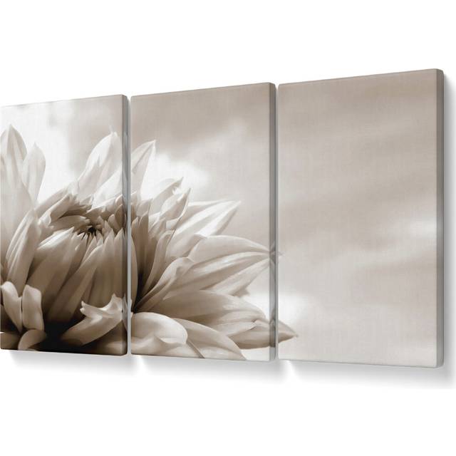 Blossoming Sepia - 3 Piece Wrapped Canvas Graphic Art (101.6cm H x 203cm W)