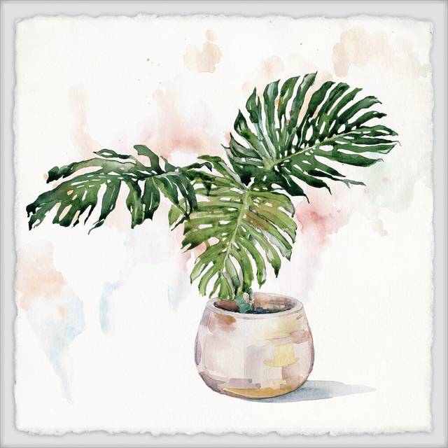 'Potted Monstera Deliciosa II' Framed Painting (51cm H x 51cm W)