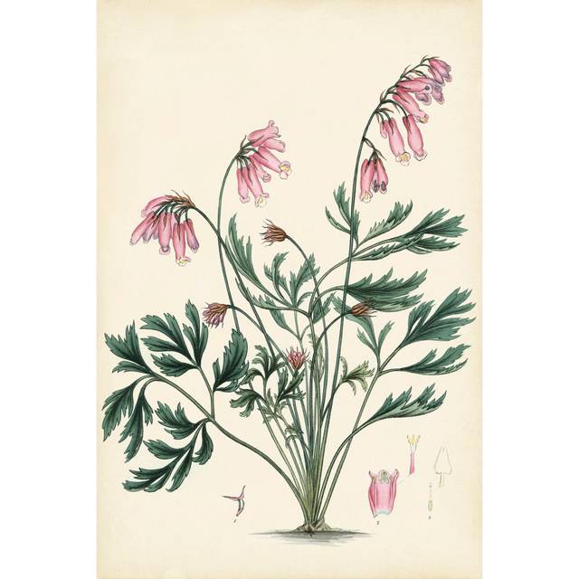 Splendors Of Botany VII - Wrapped Canvas Art Prints (30cm H x 20cm W x 3.8cm D)