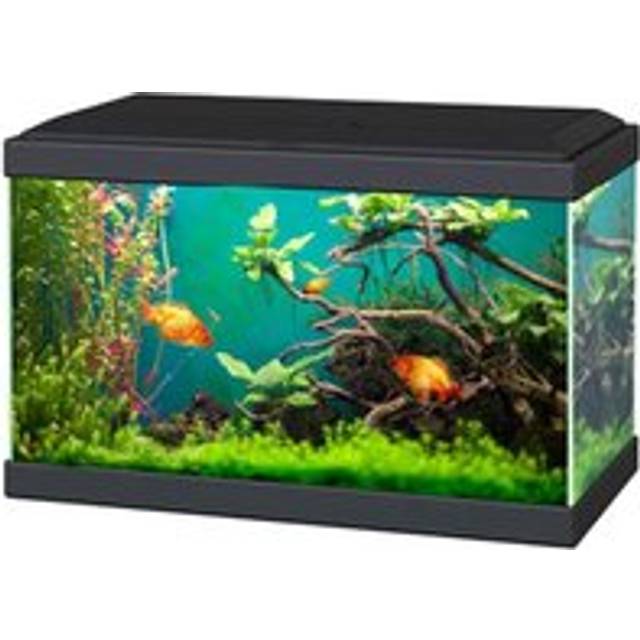 Ciano Aqua 20 Classic Black Aquarium 17L - 20 x 40 x 26cm