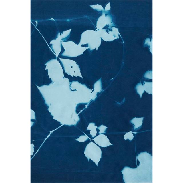 Cyanotype No.11 by Chariklia Zarris - Wrapped Canvas Graphic Art (30cm H x 20cm W)