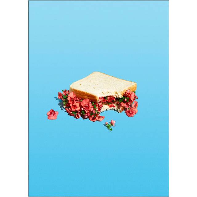 SUPERMERCAT Flower Sandwich |Multi/patterned |50X70 cm
