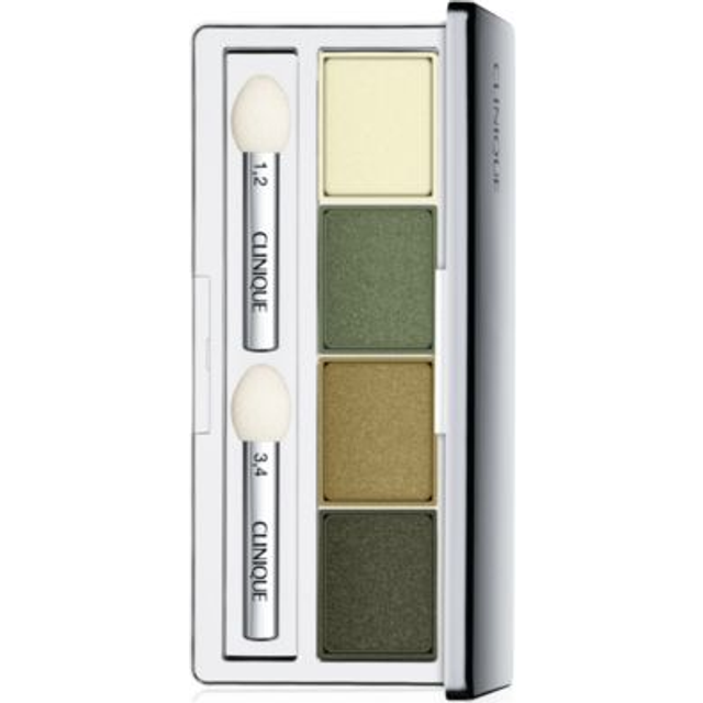 All About Shadow Quad On Safari - 3,3 g