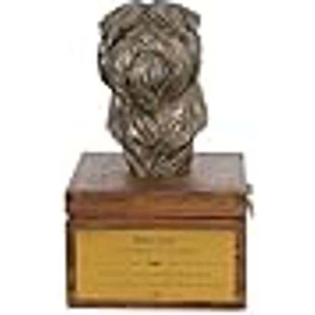 Affenpinscher, Affen, Affie - urn for dog ashes with a statuette, small urn for a dog, personalized urn with a bust of a dog by Art-Dog brand brun