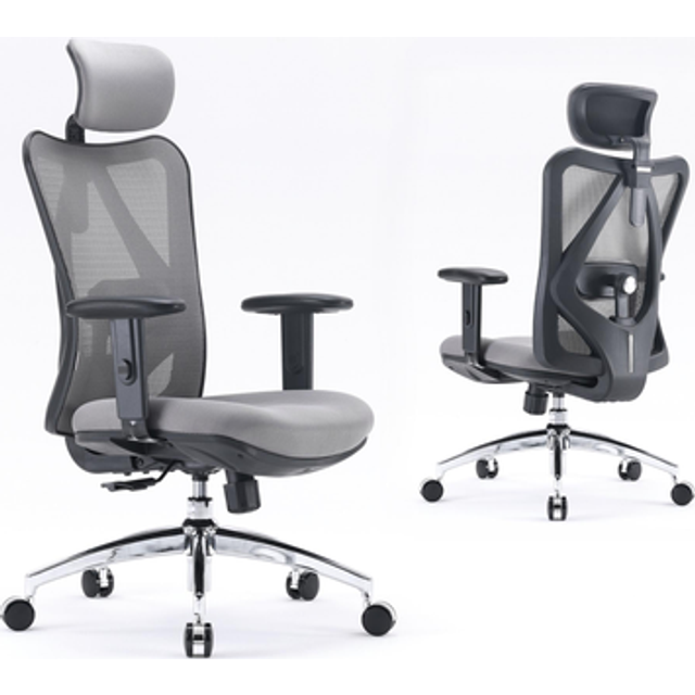 Sihoo M101C High-Back Ergonomic Office Chair with S-Shaped Backrest - Black