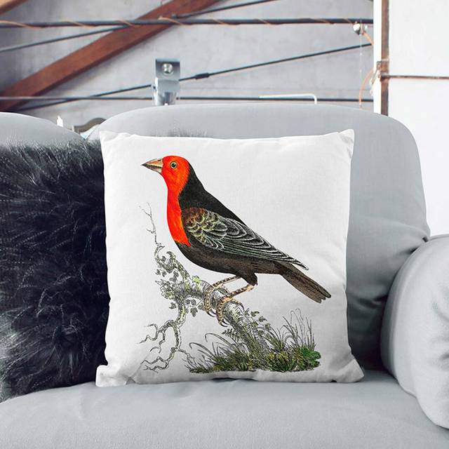 Abyssinian Plant-Cutter Bird Cushion with Filling (40 x 40 cm)