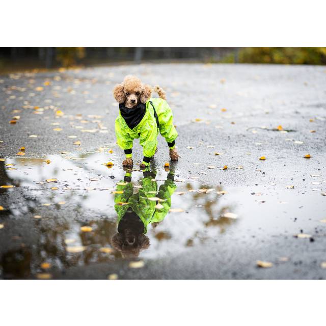 PAIKKA Rain Suit Neon 35-50 cm (50 cm)