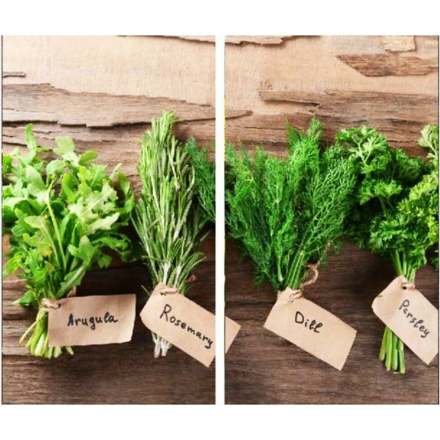 Geezy - Set of 2 Glass Chopping Cutting Board Induction Ceramic Hob Cover Worktop Saver (Herbs)
