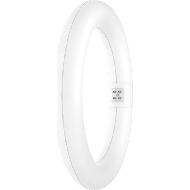 Ledvance T9 Circular LED Light Bulb LEDTUBE 4-Pin 11W (22W Eqv) Cool White