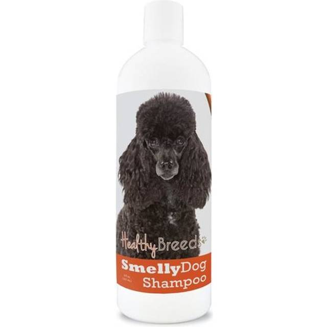 Healthy Breeds 192959001747 8 oz Poodle Smelly Dog Baking Soda Shampoo
