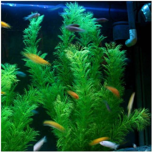2pcs Artificial Water Grass Weed Fake Plant Aquarium Fish Tank Landscape Decor