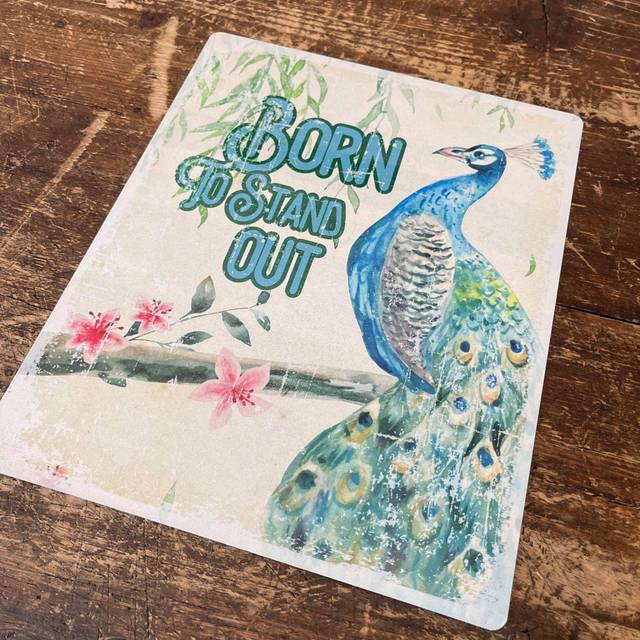 Born To Stand Out Tin Sign Metal Sign Plaque (20cm H x 15cm W)