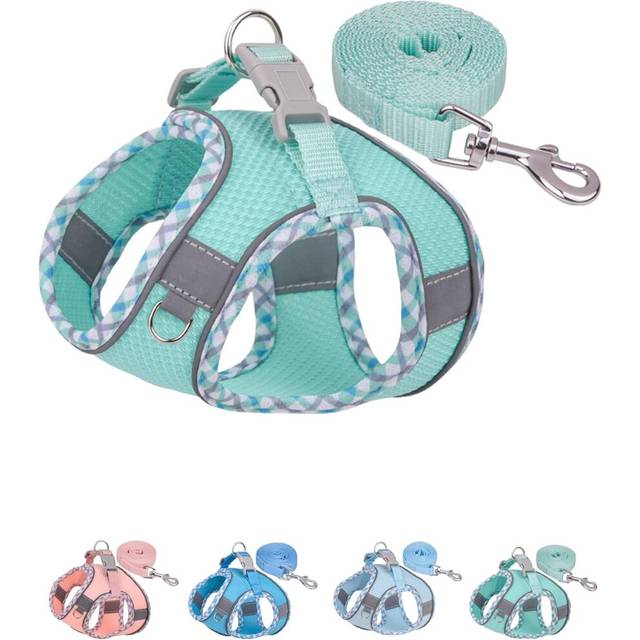 Dog Harness for Small Medium Dogs No Pull, Puppy Harness and Leash Set, Easy Walk Dog Harness for Walking, Running, Training (Green, XS)