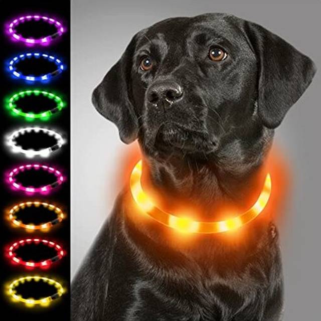 Light Up Dog Collar,LED Flashing Dog Collar for Night Walking, Illuminated USB Rechargeable Glow Collars for Puppy Small Medium and Large Dogs,Orange