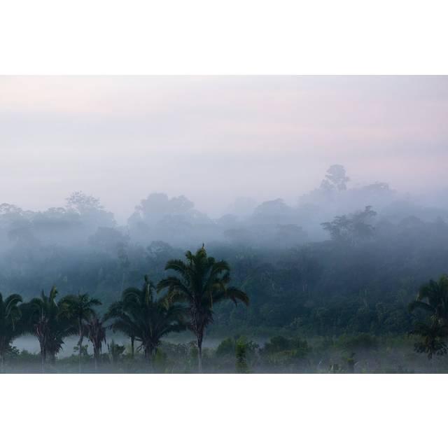 Foggy Landscape by Roman Rahm - Wrapped Canvas Art Prints (51cm H x 76cm W x 3.8cm D)