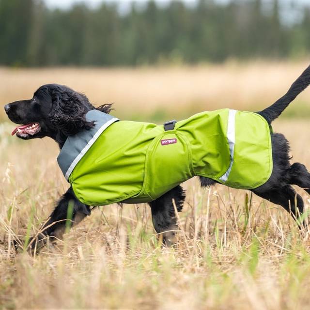 Pomppa Sade Regnt&auml;cke Hund Gr&ouml;n (75 cm)