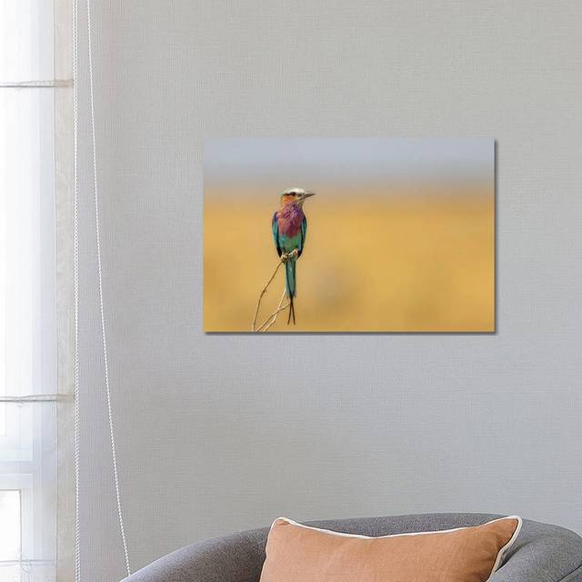 Roller by Alessandro Catta - Wrapped Canvas Painting (45.72cm H x 66.04cm W x 1.91cm D)