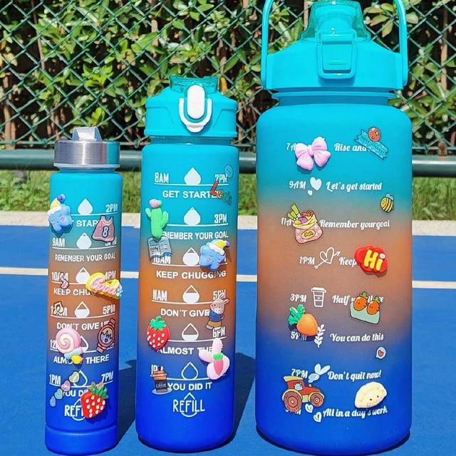 SHEIN 1pc 2L Or 750ml Or 300ml Large Capacity Rose Gradient PC Water Bottle With 3D Stickers Sports And Fitness Portable Straw Cup, Suitable For Outdoor Tra