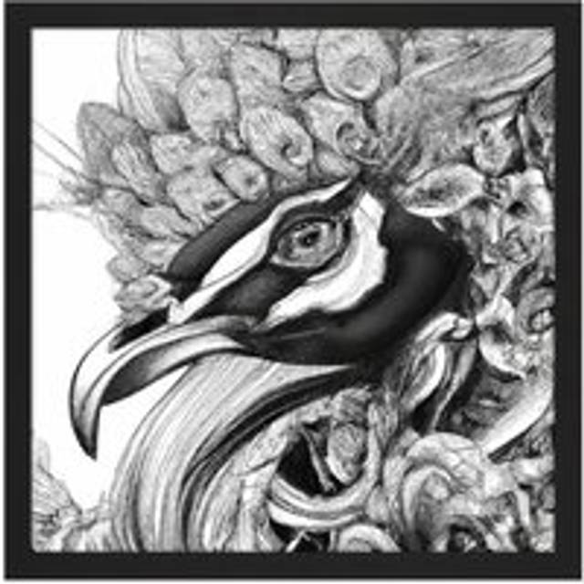 Wall Art Print Pencil Drawing Peacock Portrait Study Black White Square Framed Picture 16X16 Inch - W16 inch x H16 inch