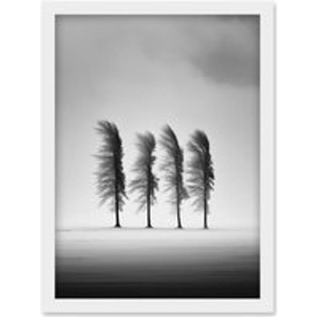Wall Art Print Still Holding Strong Black and White Winter Landscape Photograph Wind Blowing on a Row of Cypress Hills Artwork Framed A4 - A4
