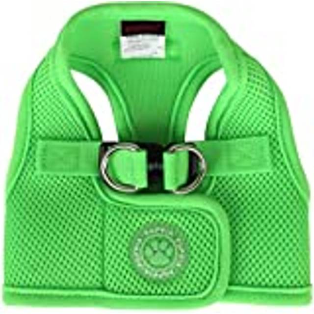 Neon Dog Jacket, Small, Green