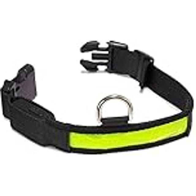 Arquivet - Lysande Hund Halsband LED Gul - Storlek S 28-40 cm/2,5 cm