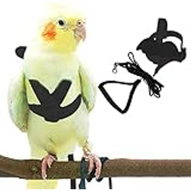 Pet Parrot Bird Harness and Leash, Adjustable Training Design Anti-Bite, Bird Nylon Rope with Cute Wing for Parrots, Suitable for Alexandrine, Scarlet
