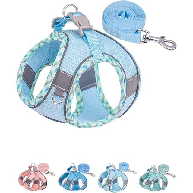 Dog Harness for Small Medium Dogs No Pull, Puppy Harness and Leash Set, Easy Walk Dog Harness for Walking, Running, Training (Light Blue, XS)