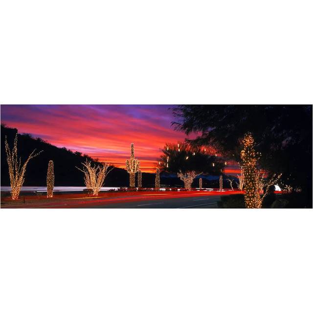 Christmas Lights on Roadside Cacti & Trees, Phoenix, Arizona, USA - Wrapped Canvas Panoramic Graphic Art (182.88 cm H x 60.96 cm W)