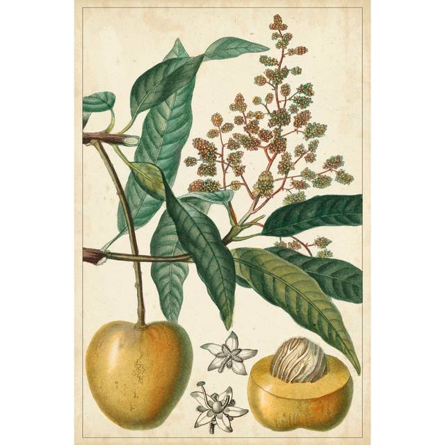 Exotic Fruits III (76cm H x 51cm W x 3.8cm D)