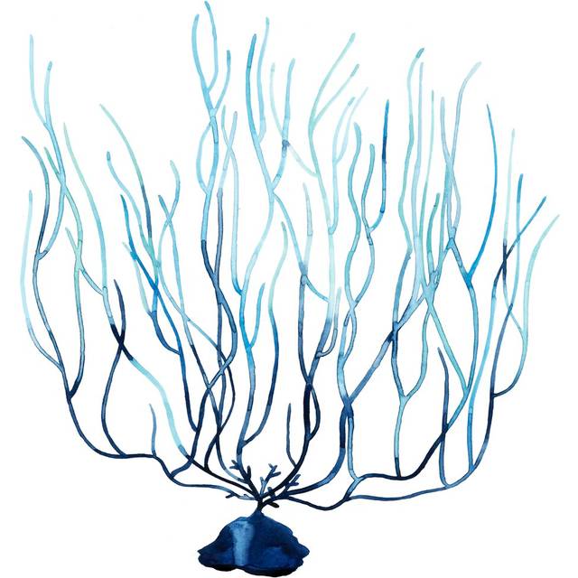Fan De La Mer I by Grace Popp - Wrapped Canvas Painting Print (76cm H x 76cm W x 3.8cm D)