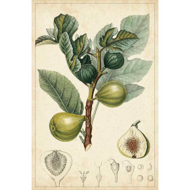 Exotic Fruits I (76cm H x 51cm W x 3.8cm D)