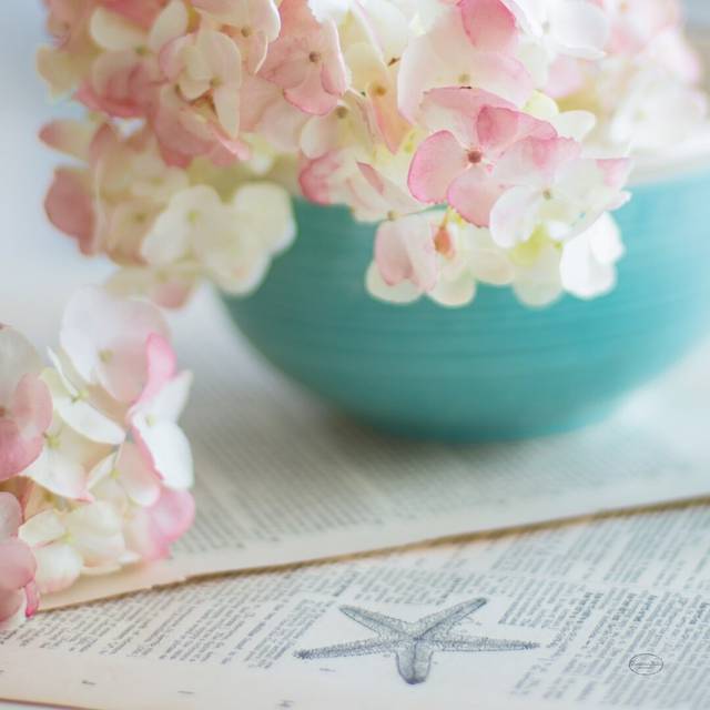 Hydrangea Still Life by Brookview Studio - Wrapped Canvas Photograph (76cm H x 76cm W x 3.8cm D)