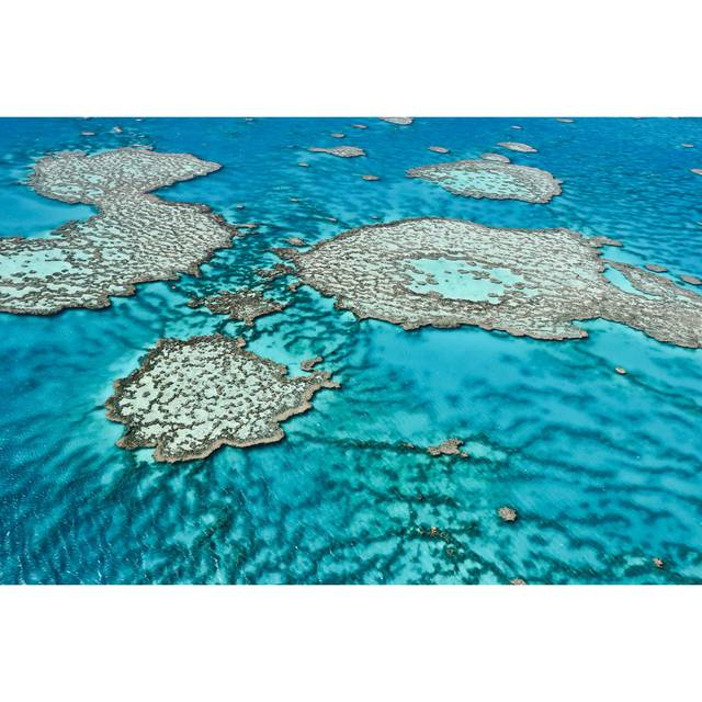 Cleghorn Great Barrier Reef by Saul Herrera - Wrapped Canvas Photograph (20cm H x 30cm W x 3.8cm D)