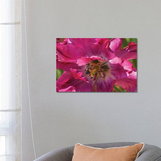 Fancy Tulip (45.72cm H x 66.04cm W x 3.81cm D)