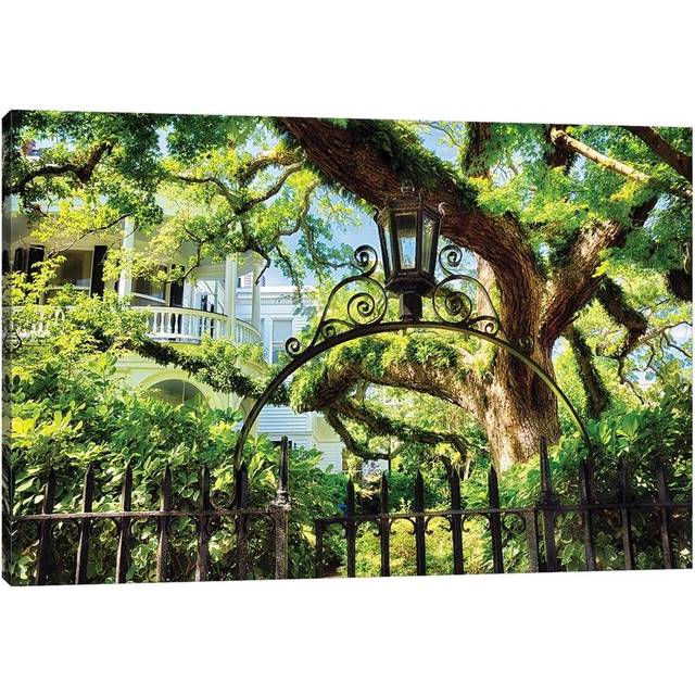 Giant Ivy Covered Oak Tree, Historic District, Charleston, South Carolina by George Oze - Wrapped Canvas Graphic Art (20.32 cm H x 30.48 cm W)