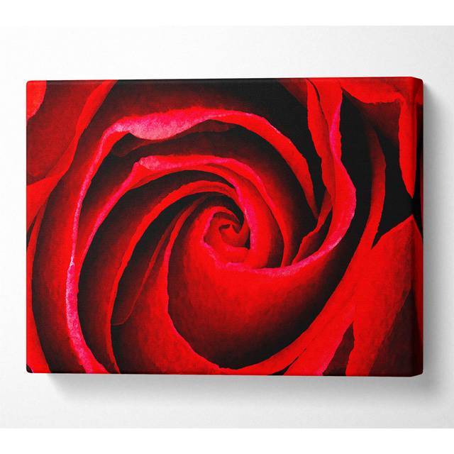Red Rose Silk - Print - Multicolour (101.6cm H x 142.2cm W x 10cm D)