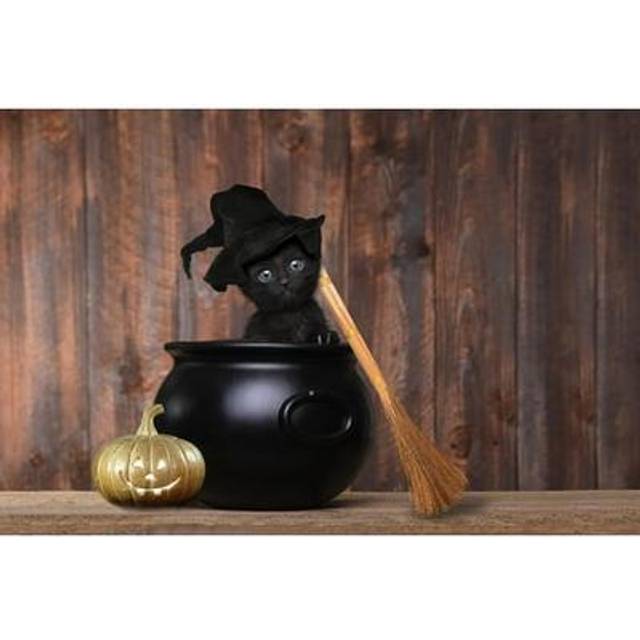 Spooky Kitty Halloween Black Cat 1000 Piece Jigsaw Puzzle