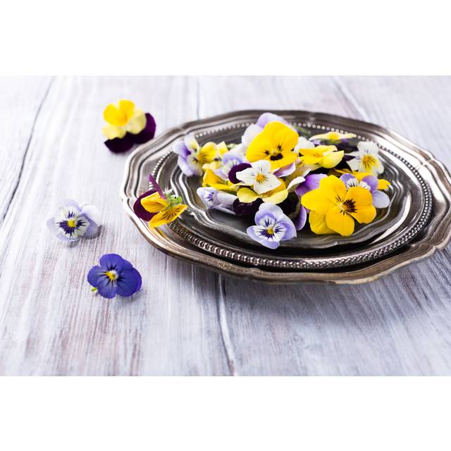 Soluri Edible Flower by Iryna Melnyk - Wrapped Canvas Photograph (51cm H x 76cm W x 3.8cm D)